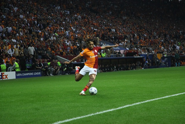 术上必须有 术上必须有