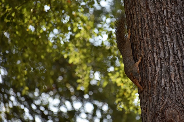 存在自相矛 存在自相矛