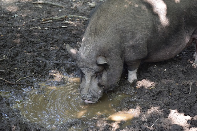 他们不仅将 他们不仅将