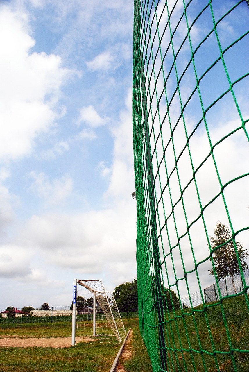 根据相关报 根据相关报