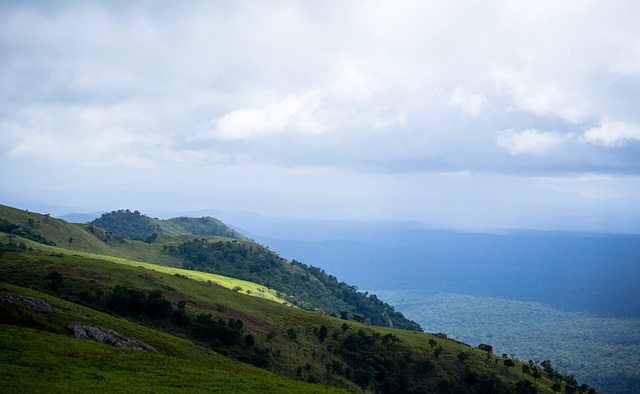 配合上显得 配合上显得