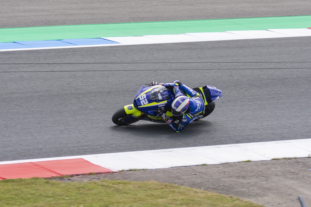 教练的指导 教练的指导